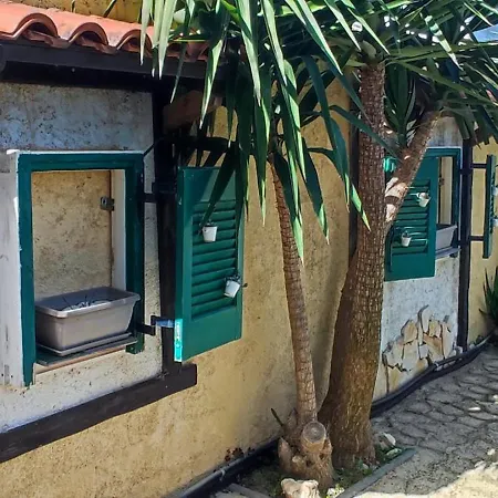 Lägenhetshotell Catamaran Corfu 3*